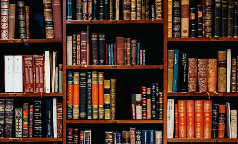 Books on shelves