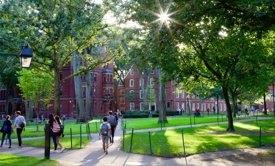 Harvard campus