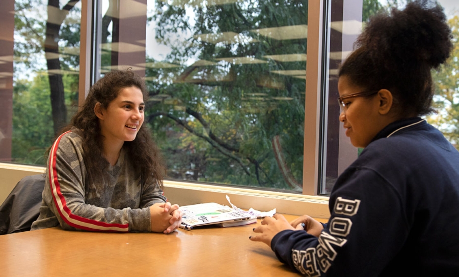 Ithaca ambassador program