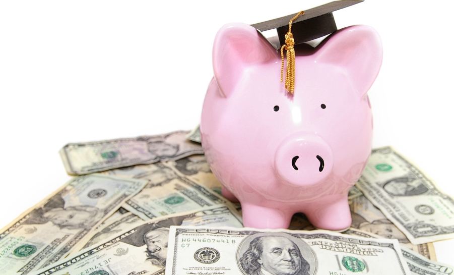 Piggy Bank and Money