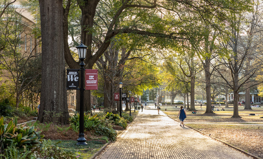 Brick walkway outside of building on the University of South Carolina's campus