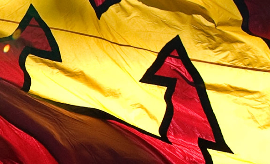 University of Minnesota Rochester flag