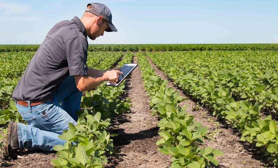 man in field 