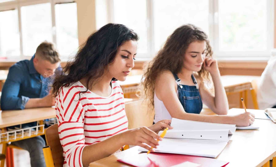 striped shirt female studying with friend