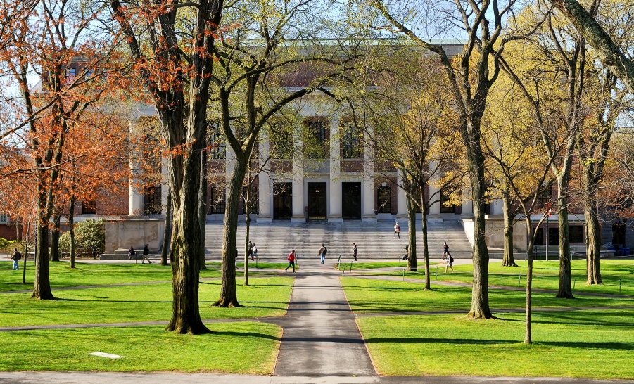 university campus fall leaves