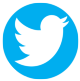 Twitter Icon